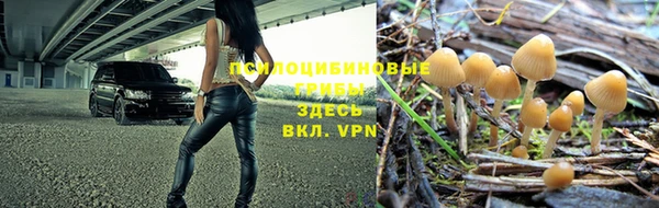 a pvp Армянск