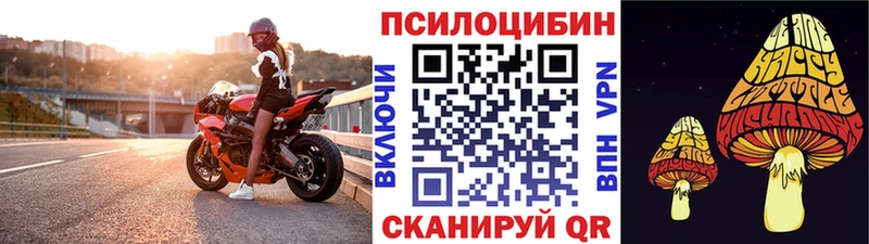 дарнет шоп  Михайловск  omg зеркало  Галлюциногенные грибы ЛСД 